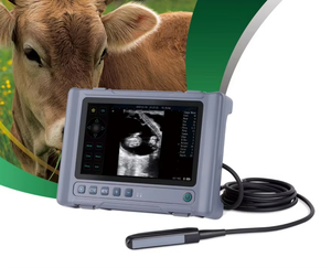 Échographe vétérinaire portable à écran tactile de 8 pouces pour l'examen rectal de la gestation des bovins, des chevaux, des moutons et des porcs - Product Image 1