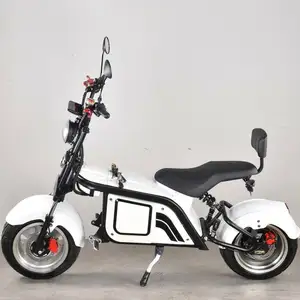 Stable Performance E-Trike Electric Scooter 3 Wheel Golf Club Fat Tire Safe Sport Type Trike With Golf Rack