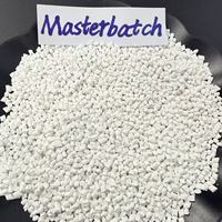 Masterbatch plastique blanc de haute qualité PE PP PET ABS PC pour injection, film soufflé et extrusion