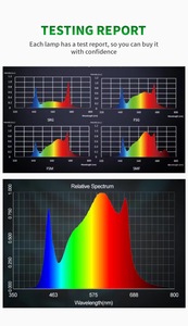 Lampe de culture à spectre complet 1000W avec construction en aluminium, indice de protection IP54, intensité réglable, garantie de 3 ans - Product Image 5