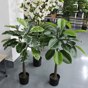 Alta garanzia impermeabile tropicale finto Ficus Elastica <span class=keywords><strong>parete</strong></span> vegetale gomma artificiale plastica Bonsai <span class=keywords><strong>albero</strong></span> piante Decorative per interni - Product Image 2