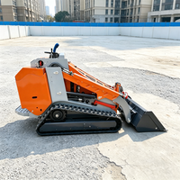 Mini-chargeuse compacte diesel Euro 5 EPA YG 420 kg avec une forte performance de traction pour les travaux à la ferme