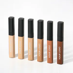 Wholesale High Quality High Definition Concealer Waterproof Hair Concealer And Under Eye Concealer