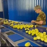 Hot Verkoop Ltk Volautomatische Frites Friteuse Productielijn Voor Aardappelen Met Aangepaste Capaciteit Voor Plantaardige Verwerking