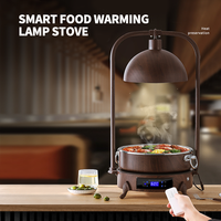 Ensemble de lampes chauffantes pour aliments, lampe chauffante électrique pour buffet avec pot en céramique/acier inoxydable pour la restauration hôtelière