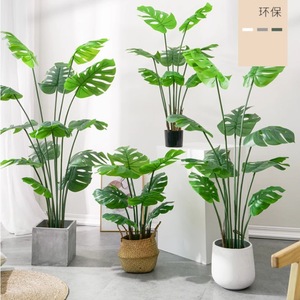 공장 직접 가격 판매 미니 분재 냄비 식물 가정 정원 장식용 인공 분재 나무 식물 Schefflera - Product Image 2