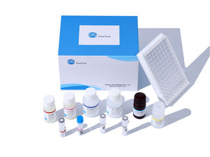 Sıçan MAPK P38 mitojen aktif <span class=keywords><strong>Protein</strong></span> kinaz enzim bağlantılı immünosorbent testi - Product Image 3