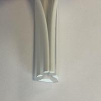 Tube en silicone de bordure de lumière néon led flexible personnalisé de décoration d'ambiance de festival vente en gros