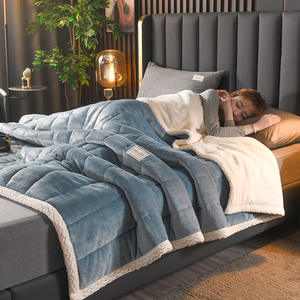 بطانية مخملية دافئة ومبطنة من طبقتين سميكة صلبة مخصصة بسعر الجملة للسرير في الشتاء هدية بسعر مخفض - Product Image 1