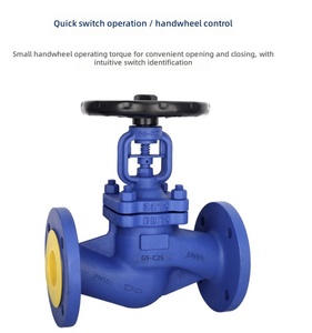 Premium Manual Control <b>Sealed</b> Cast Steel Bellows Globe for Power Plant Heating Regulating Pipeline Cast Iron - Product Image 2