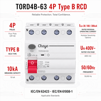 Interruptor Diferencial RCCB RCD Tipo B 4P 10KA 30mA 100mA 300mA 63A 400V para Riel DIN, para Carga de Vehículos Eléctricos y Sistemas Solares Chayo