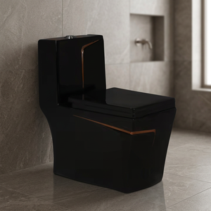 WC monobloc en céramique pour le marché chinois, à siphon en S, avec abattant à fermeture lente, à poser au sol - Product Image 3