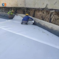 Membrana Impermeabilizante de PVC TPO de 1.2 mm y 1.5 mm, Material Impermeabilizante Reforzado para Techos y Túneles