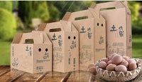 Boîte d'expédition rectangulaire personnalisée en carton ondulé robuste, gaufrée et recyclable, pour le transport de poulets vivants et d'œufs