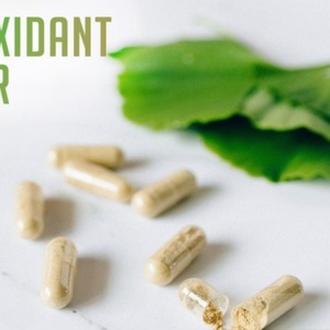 Extrait de Ginkgo Biloba Biologique en Poudre – Stimulant Immunitaire et Cognitif – Bouteille, Fût ou Récipient en Verre – 100% Soluble dans l'Eau - Product Image 4