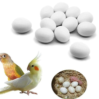 Œufs de pigeon en plastique solide, outils d'aviculture, œufs à couver, décoration DIY pour la maison, fournitures pour oiseaux, œufs de Pâques artificiels