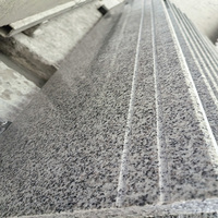 Peldaños de Granito Blanco Sésamo Pulido Moderno G303 de Eastern Stone China con 5 Años de Garantía para Proyectos en Exteriores