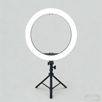 Lampe vidéo LED Qiniu 12 pouces avec trépied 2M en ABS, alimentation CA 10W, intensité réglable, 3 modes de couleur pour le streaming en direct, TikTok, maquillage