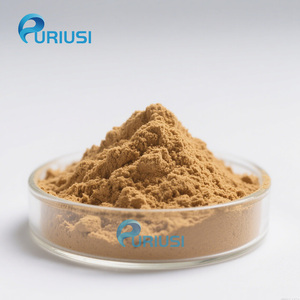Tinh khiết tự nhiên nhà Máy chiết xuất hạt nho 10:1 chiết xuất hạt nho bột - Product Image 1