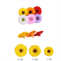 Großhandel Echte Natürliche Konservierte Gerbera-Gänseblümchen-Blütenköpfe für Hochzeits-Tischdekoration, Party-Tischdeko, DIY, Muttertag, Ostern