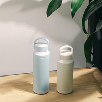 Bouteille d'eau écologique 2026 en promotion avec poignée et infuseur à thé, logo personnalisé, 500 ml