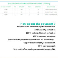 Cages à poules pondeuses galvanisées de haute qualité à bas prix, équipement d'élevage pour poules pondeuses