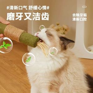 Jouet à mâcher pour chat, bâton de catnip, grand format, durable, pour le jeu et la résistance aux morsures des chats - Product Image 3