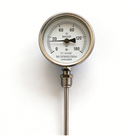 Termometro Meccanico Industriale con Sonda in Acciaio Inox, Comunicazione USB, Personalizzazione OEM/ODM