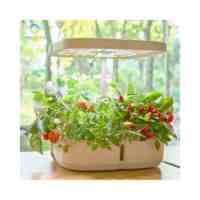 Système de contrôle automatique hydroponique à 8 pots, kit hydroponique d'intérieur, équipement intelligent miniature, jardinière de culture pour la cuisine