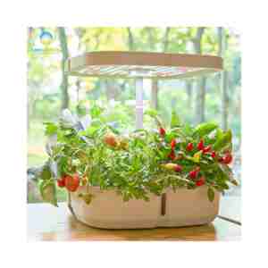 Automatisches Hydroponik-Steuerungssystem mit 8 Töpfen, Indoor-Hydrokultur-Set, Intelligentes Mini-Gerät, Anzucht-Garten-Pflanzgefäß für die Küche - Product Image 2