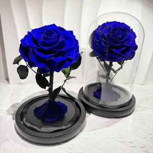 Hoa hồng thật được bảo quản lâu dài trong chuông thủy tinh có đèn LED, hộp quà tặng hoa bất tử, quà tặng Valentine, sinh nhật, cưới hỏi - Product Image 6