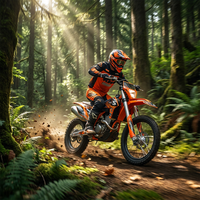 Nouvelle moto tout-terrain de course Enduro 200-400CC 4 temps à essence STNX3 YB300R ZS177FMM 18kW
