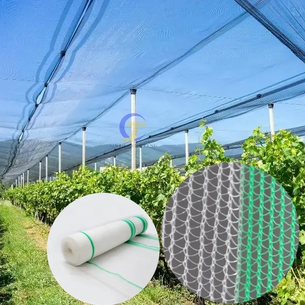 Hail Net Good Quality HDPE Plastic Anti Hail Net Factory Supply Yemen Market Anti Hail Net For Orchard Agriculture