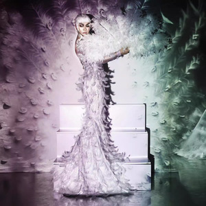 Elegante <span class=keywords><strong>ver</strong></span> a través de <span class=keywords><strong>plumas</strong></span> de diamantes de imitación boda fiesta vestidos de baile señoras cumpleaños desfile vestido mujer sirena vestido de noche - Product Image 4