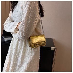 人気のクロコダイルプリントレディースラグジュアリーハンドバッグニューパテントレザーファッションチェーンシンプルミニクラムシェルハンドバッグ - Product Image 5