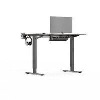 Bureau moderne ergonomique à moteur unique de haute qualité, Table d'ordinateur, bureau électrique réglable en hauteur