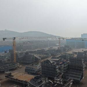 رافعة برجية ذاتية التركيب بدون قمة من داهان طراز <span class=keywords><strong>Qtz80</strong></span> وQtz100 وQtz63 وQtz125 للبناء والإنشاءات للبيع - Product Image 5