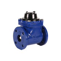 Connexion de compteur d'eau Woltmann Dry détachable 63mm