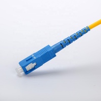 Customizable Length Optical Fiber Patch Cord Single Mode SC/UPC-SC/UPC 0.9mm 2.0mm 3.0mm 9/125um FTTH Pigtail PVC/LSZH SM SX