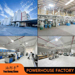 Grasso sintetico Anti-corrosione grasso fluoro ad alta temperatura sostituire gpl 226 cuscinetto a bassa velocità corrugatore grasso bianco - Product Image 5