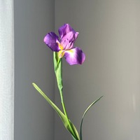 Bunga Iris Irlandia Buatan Batang Tunggal, Bunga Tiruan untuk Dekorasi Pernikahan, Dekorasi Rumah, Ruang Tamu, dan Dekorasi Pintu Masuk