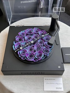 Rosa de larga duración Enchanted Infinity eternidad para siempre eterna preservada Rosa phonograhp - Product Image 2