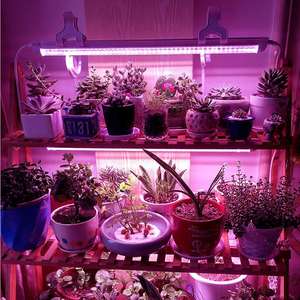 T8 Plant Lamp Lampe <span class=keywords><strong>de</strong></span> croissance des plantes Plante succulente <span class=keywords><strong>Culture</strong></span> <span class=keywords><strong>de</strong></span> tissus végétaux d'intérieur Led élèvent la lumière - Product Image 5