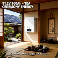 Baterai Lithium 51.2V 48V 200Ah 10kWh untuk Sistem Surya Terpasang di Dinding