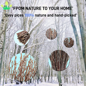 Cành cây bạch dương cành cây tự nhiên Tự Làm Thủ Công Hoa sắp xếp Gậy cho bình <span class=keywords><strong>centerpieces</strong></span> Halloween chổi cây khô trang trí nhà - Product Image 4