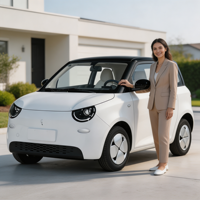 Linxys A100C Mini SUV Électrique Économique Nouveaux Modèles 2026 4 Places Batterie 30kWh Autonomie 201-300km Agent Recherché OEM Disponible