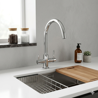 Robinet mélangeur de cuisine moderne haut de gamme en acier inoxydable 304 à double poignée, avec filtre 3 voies, douchette extractible, pour hôtel, monotrou, à poser sur plan