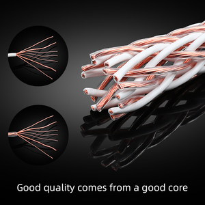 ATAUDIO เครื่อ<span class=keywords><strong>ง</strong></span>ขยายเสีย<span class=keywords><strong>ง</strong></span> HIFI สำหรับหุ้มโรเดียม,Y เสียบกับกล้วยปลั๊กออดิโอ HIFI 8TC OCC <span class=keywords><strong>Hi</strong></span> <span class=keywords><strong>End</strong></span> <span class=keywords><strong>สาย</strong></span>ลำ<span class=keywords><strong>โพ</strong></span><span class=keywords><strong>ง</strong></span> - Product Image 6