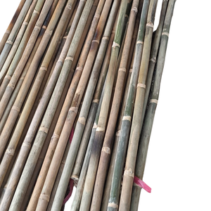 Small Eco-Friendly <b>Bamboo</b> Stakes for Agriculture and Nurseries - Product Image 3