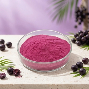 Poudre d'extrait de baies d'açaï, poudre de jus et poudre de fruits hydrosolubles pour boissons - Product Image 3